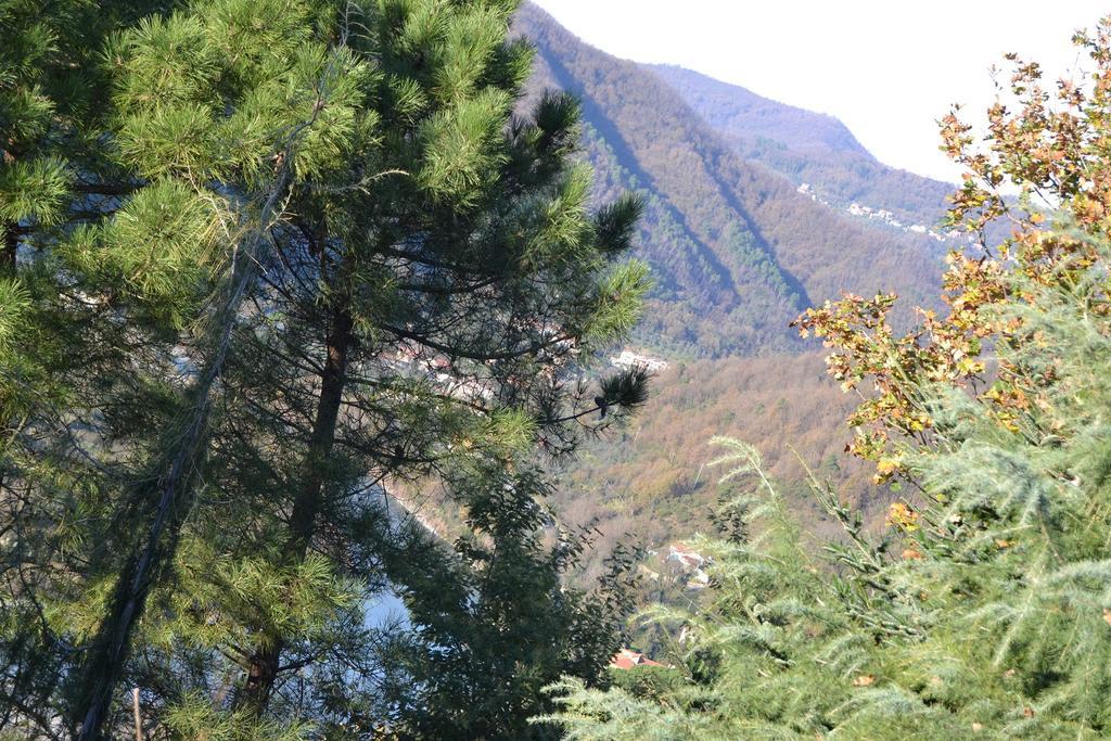 Toscana Nord Ovest - Tra La Costa Apartments Albiano Magra Екстериор снимка