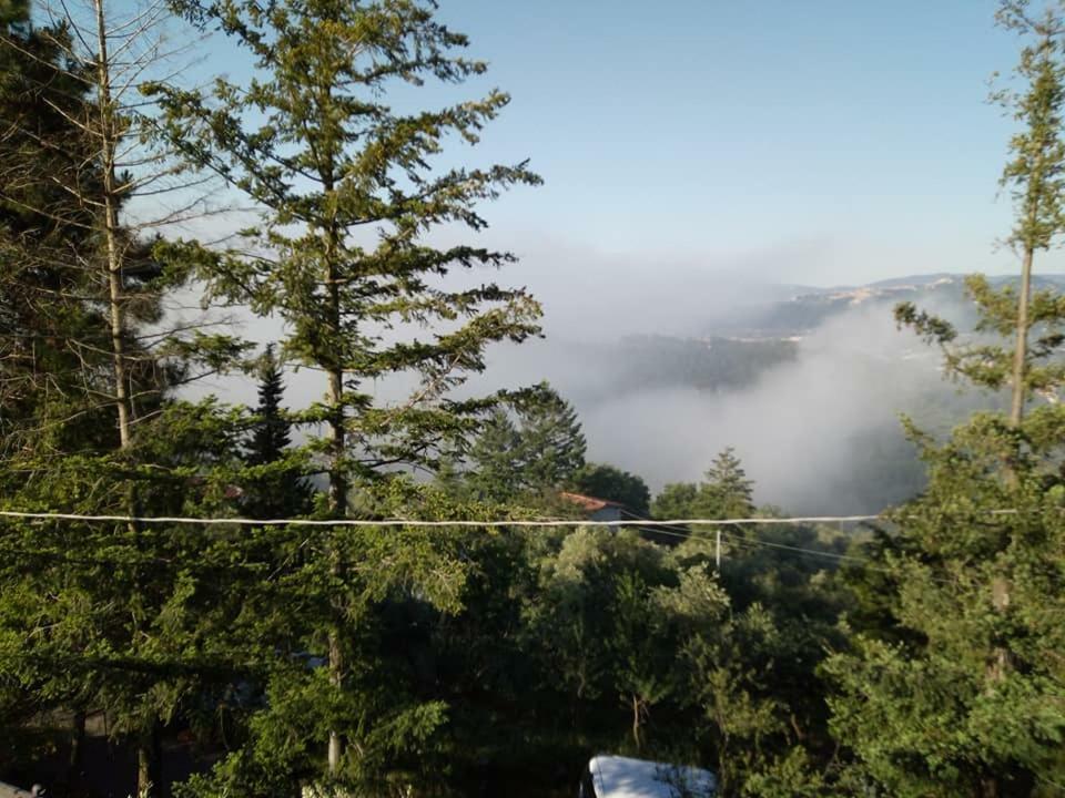 Toscana Nord Ovest - Tra La Costa Apartments Albiano Magra Екстериор снимка